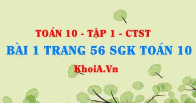 Bài 1 trang 56 SGK Toán 10 tập 1 Chân trời sáng tạo